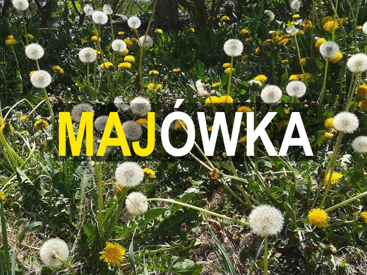 02.05.2025 r. bIURO KST-LGD BĘDZIE NIECZYNNE.